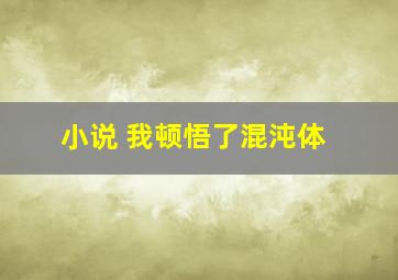 小说 我顿悟了混沌体